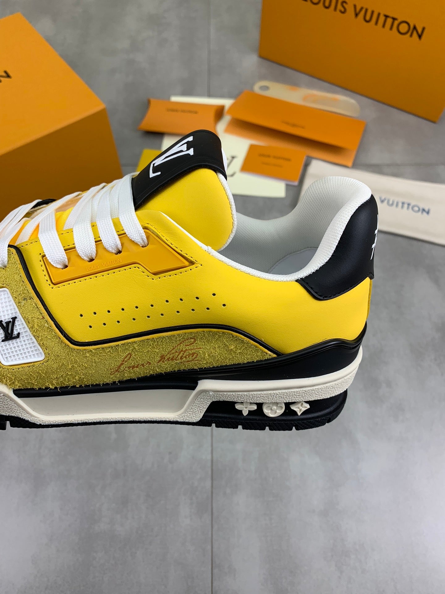 Louis Vuitton Trainer Sneakers