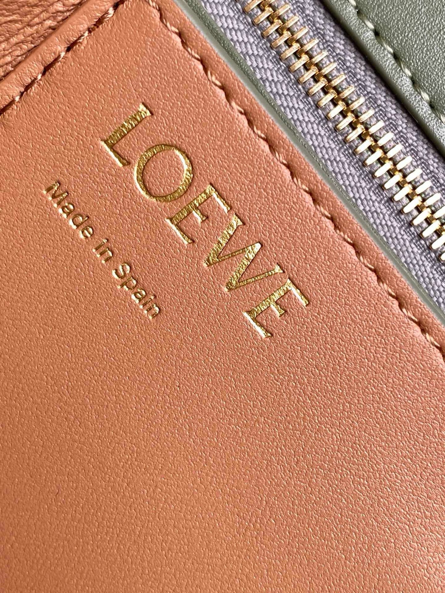 Loewe Goya Leather