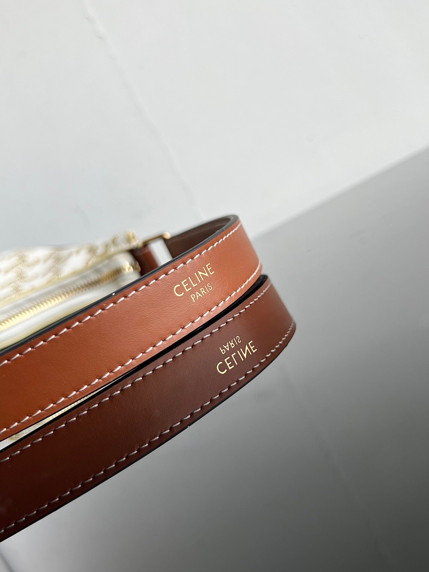 Celine Triomphe Hobo