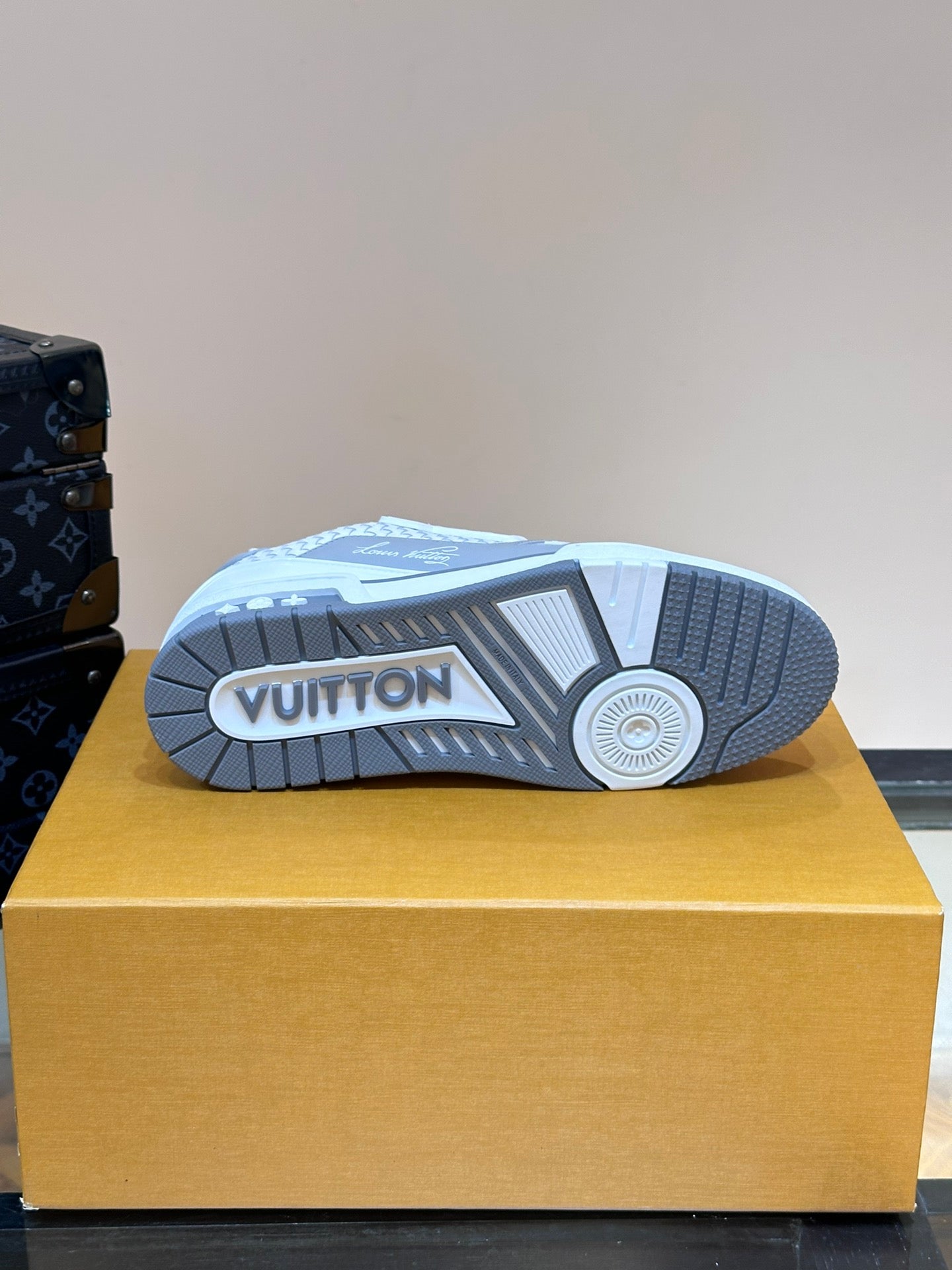 Louis Vuitton Trainer Sneakers