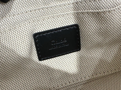 Chloe Camera Bag