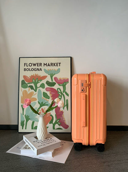 Rimowa Luggage Essential