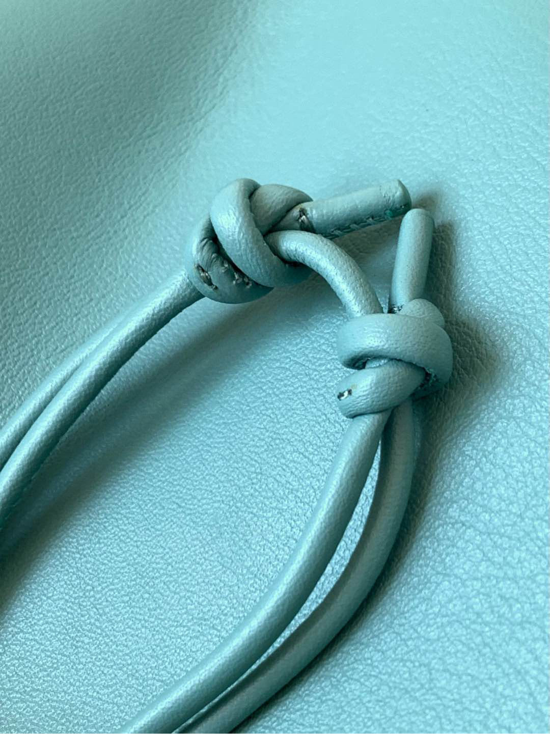 Loewe Pebble Leather