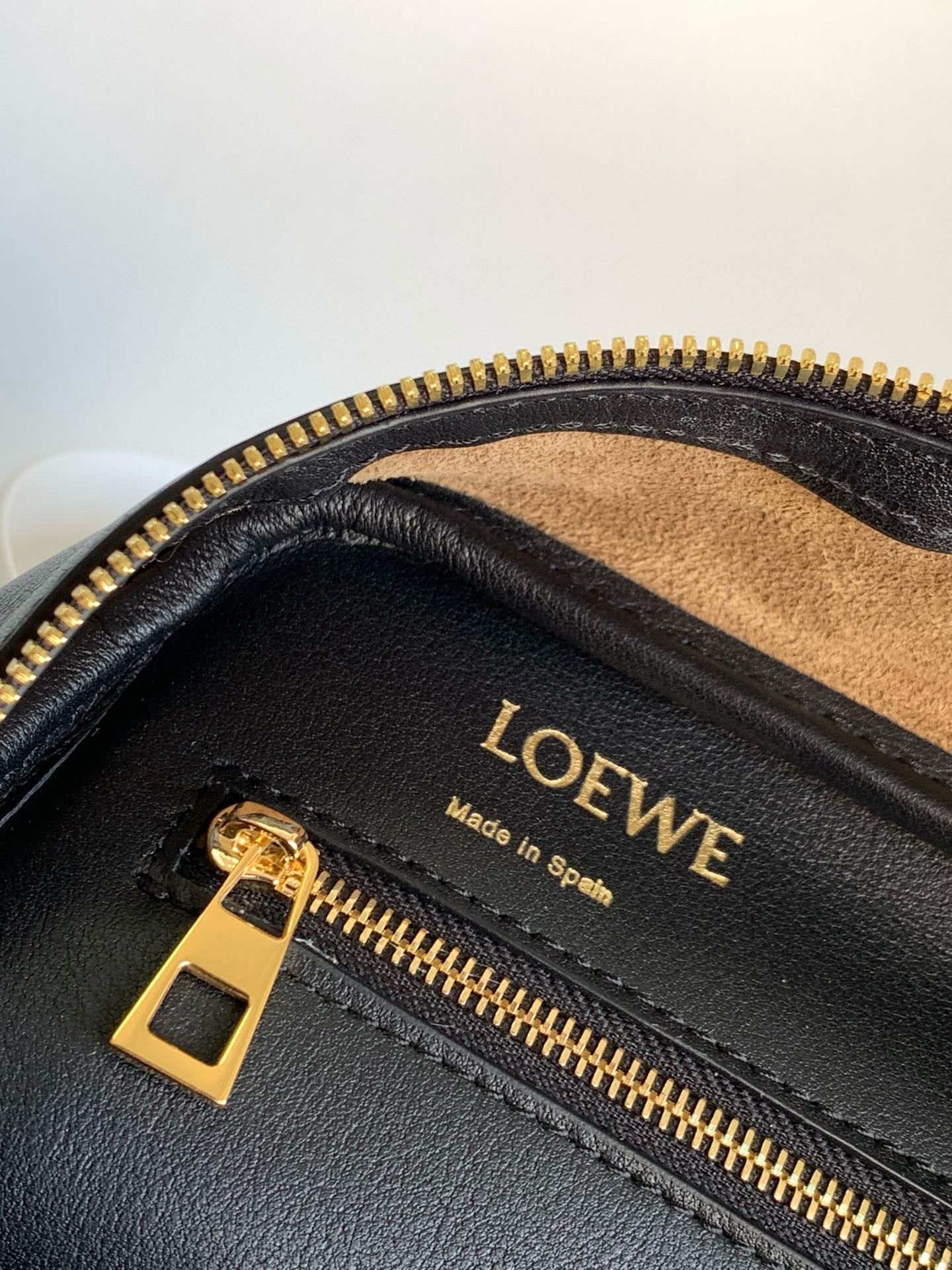 Loewe Amazona 16