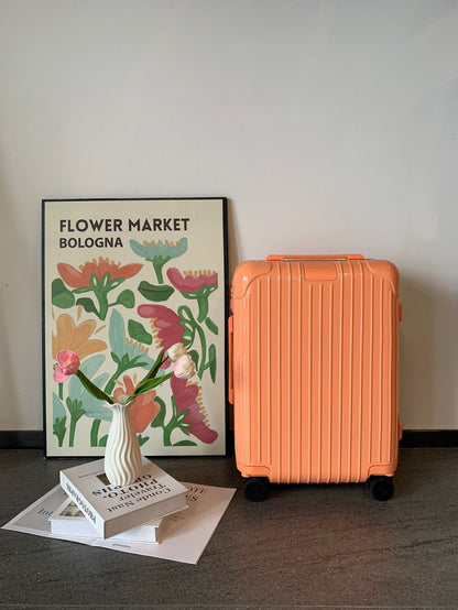 Rimowa Luggage Essential