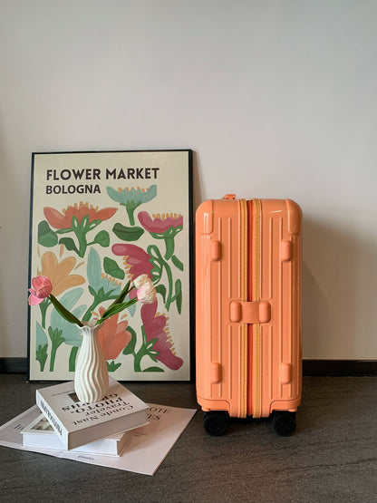 Rimowa Luggage Essential