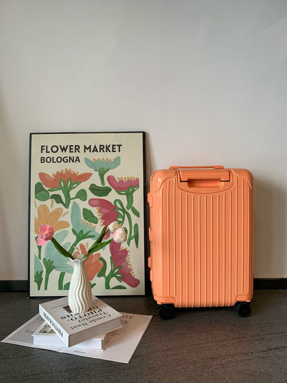 Rimowa Luggage Essential