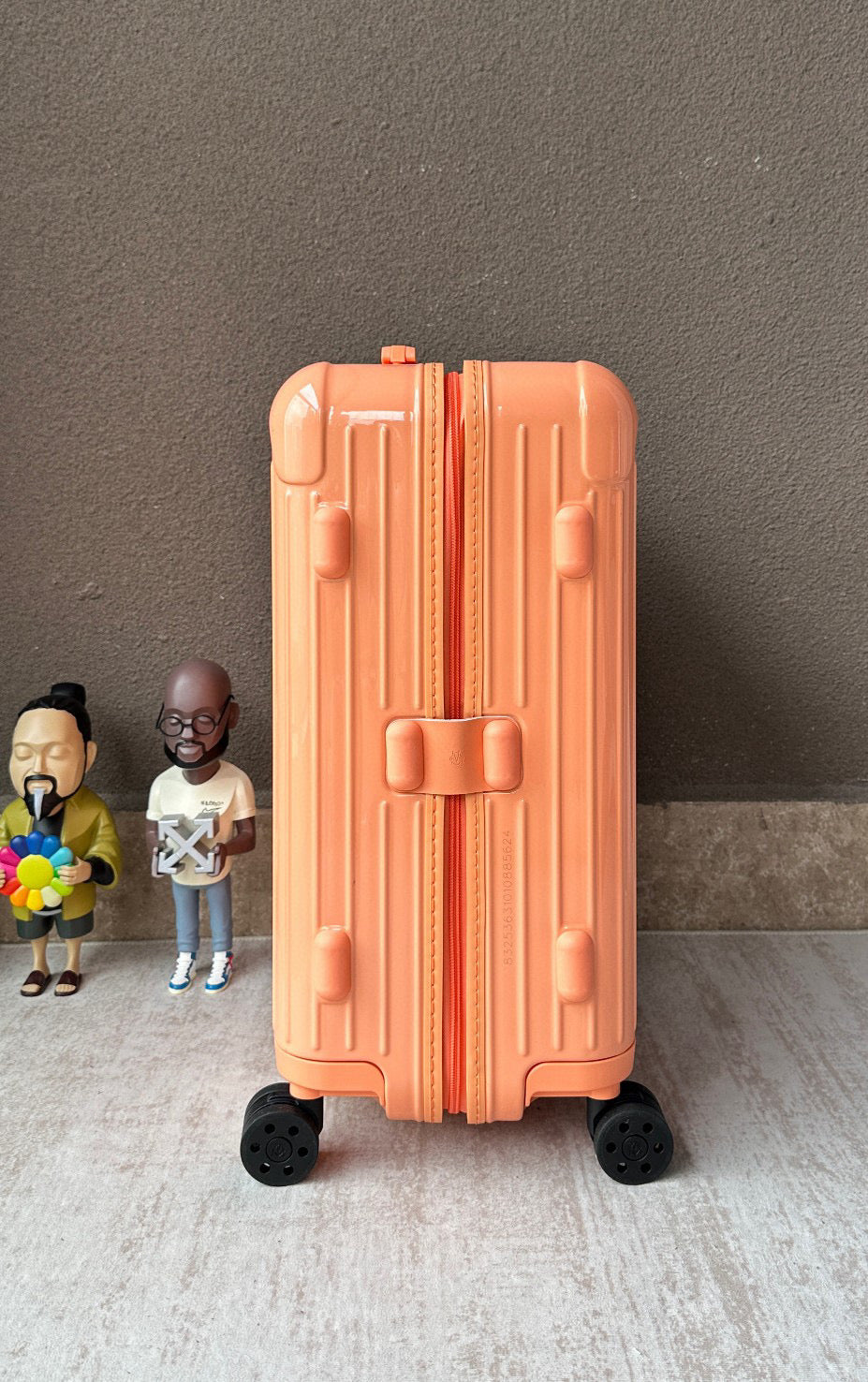 Rimowa Luggage Essential