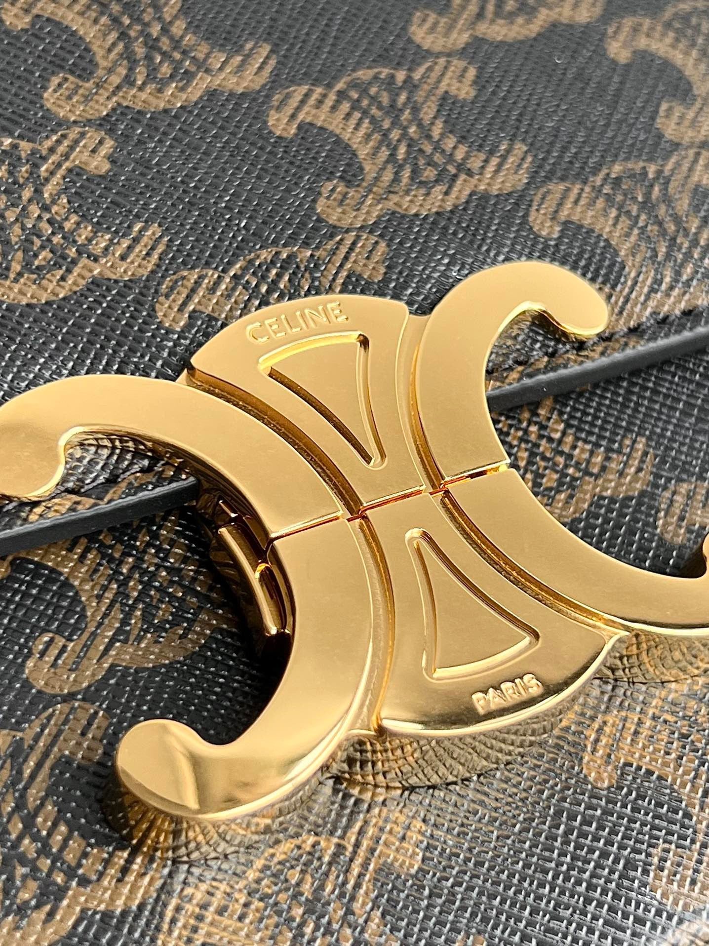 Celine Triomphe Hobo