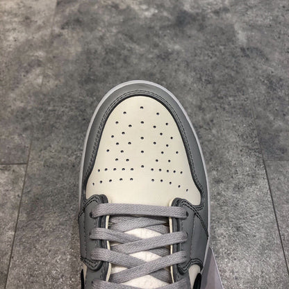 Dior x Air Jordan High