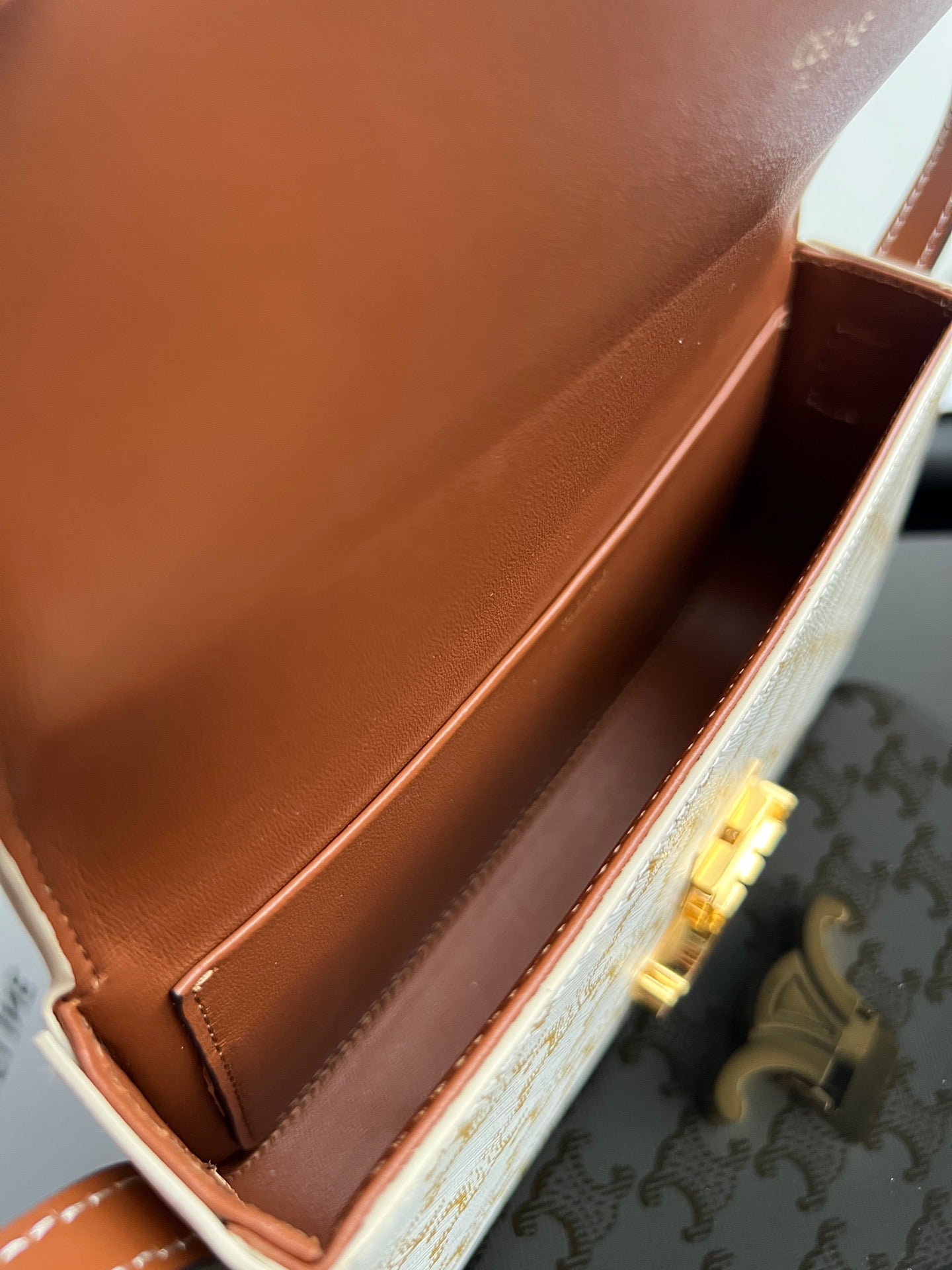 Celine Triomphe Hobo