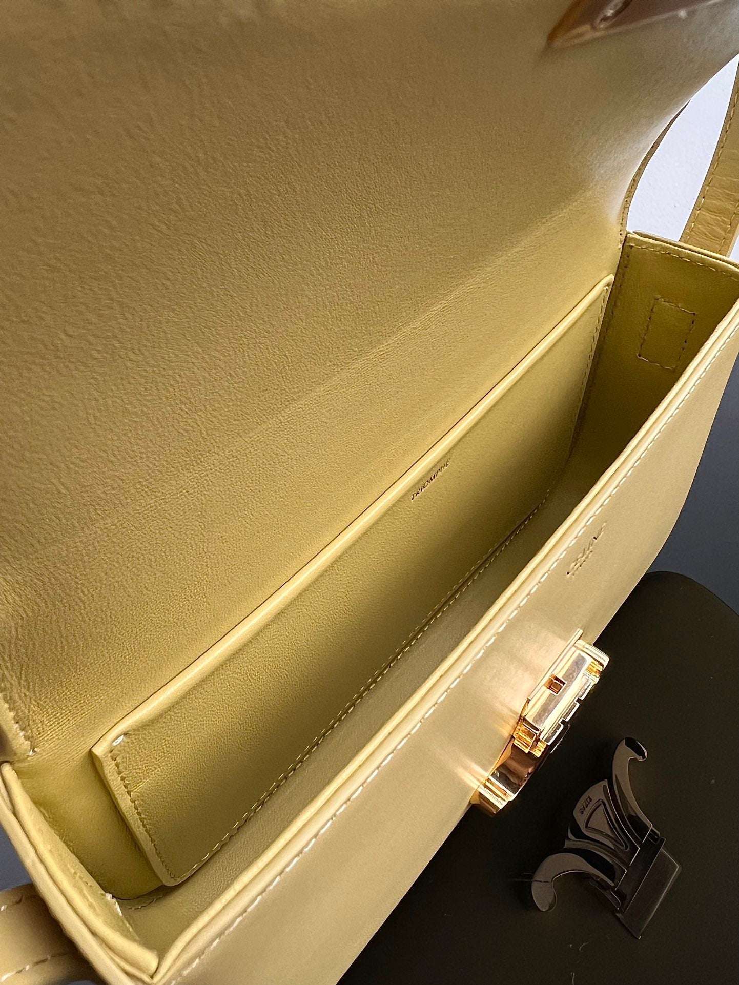 Celine Triomphe Hobo