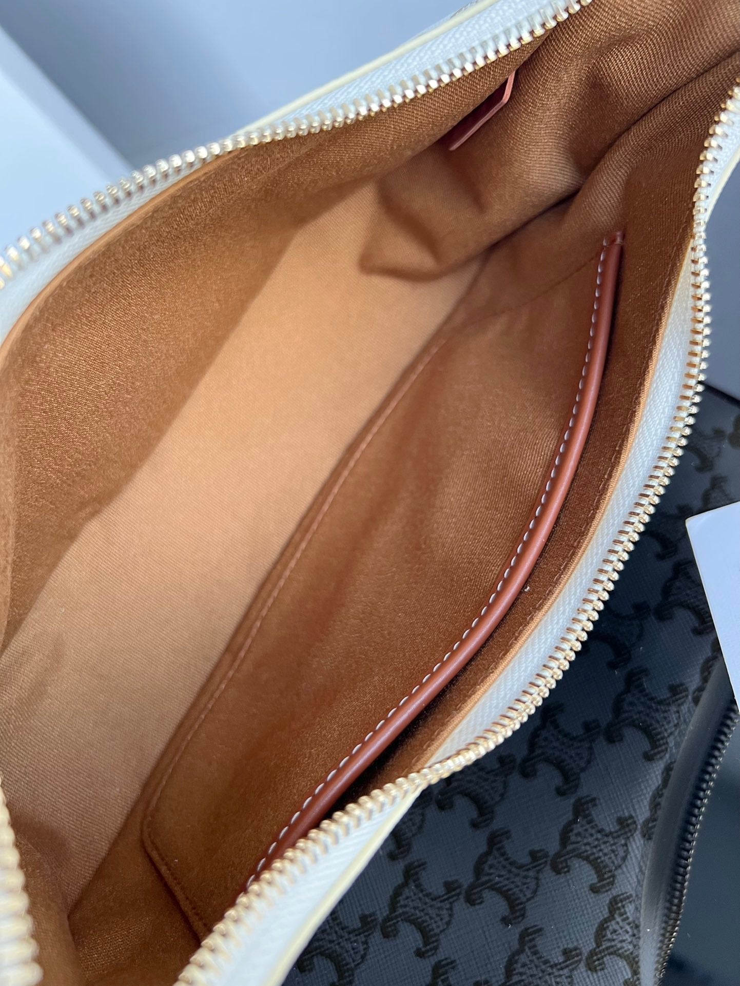 Celine Triomphe Hobo