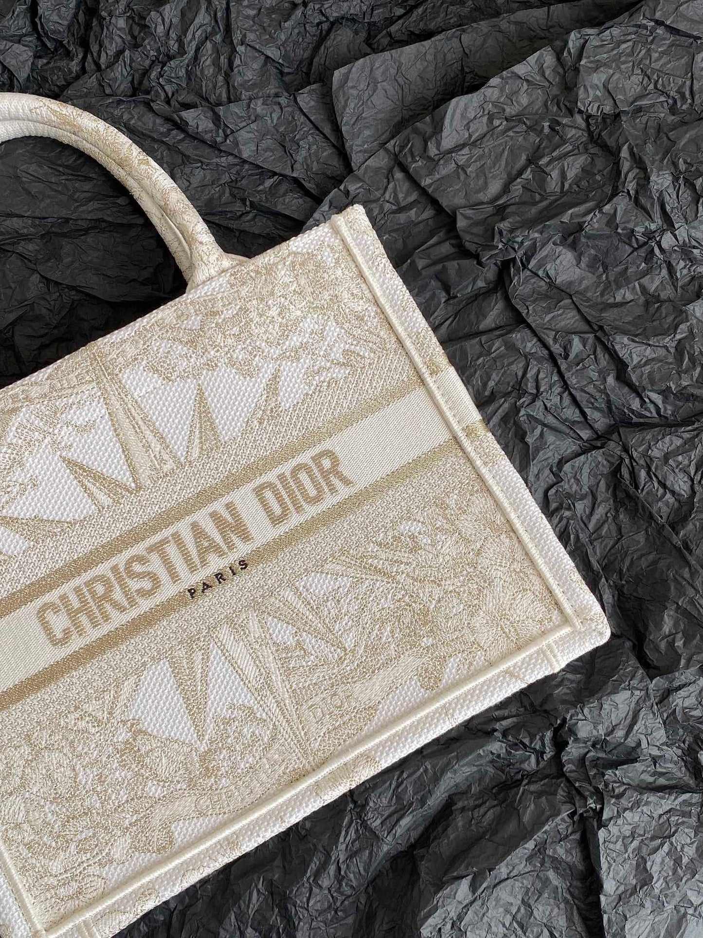Dior BookTote (small)