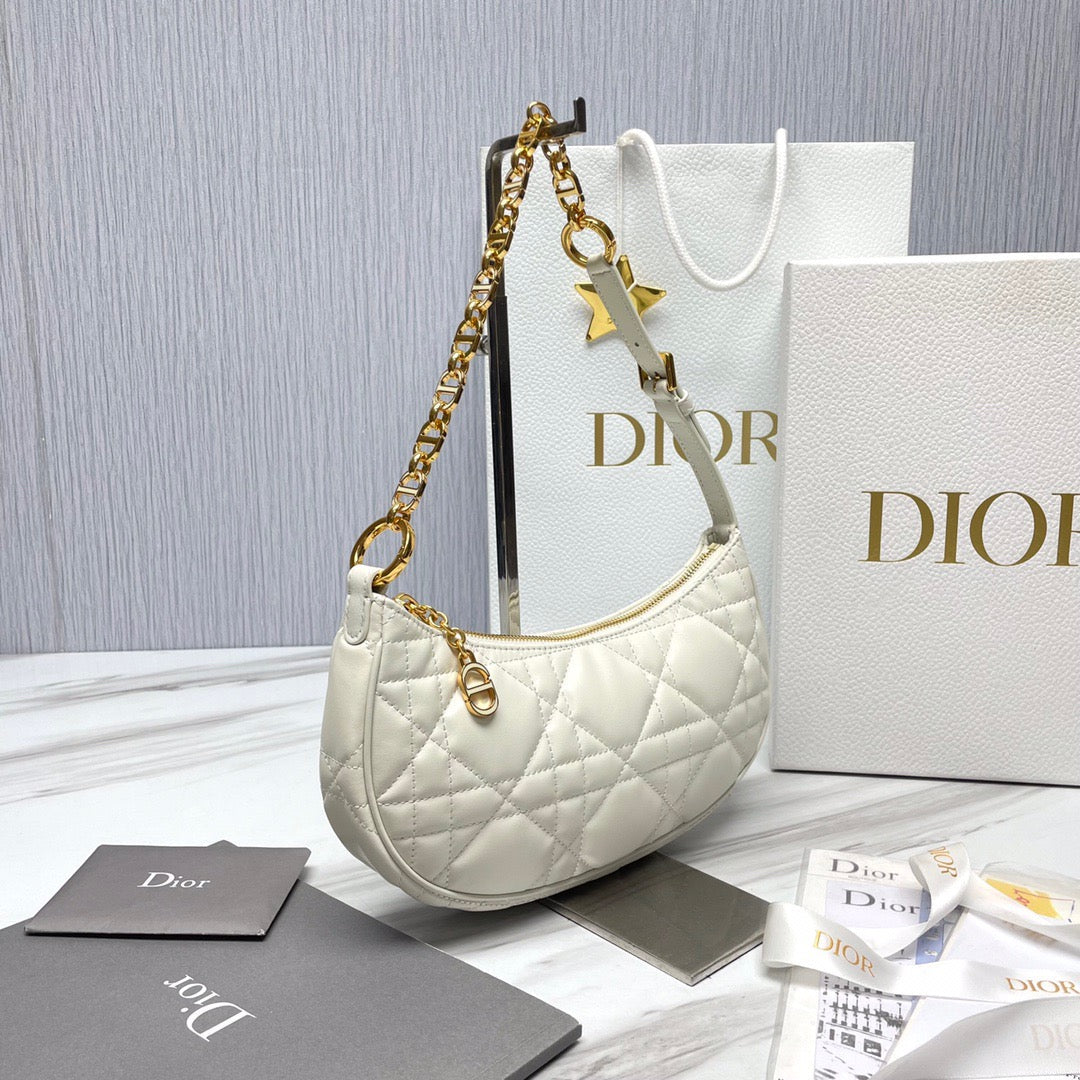 Dior Lounge Hobo