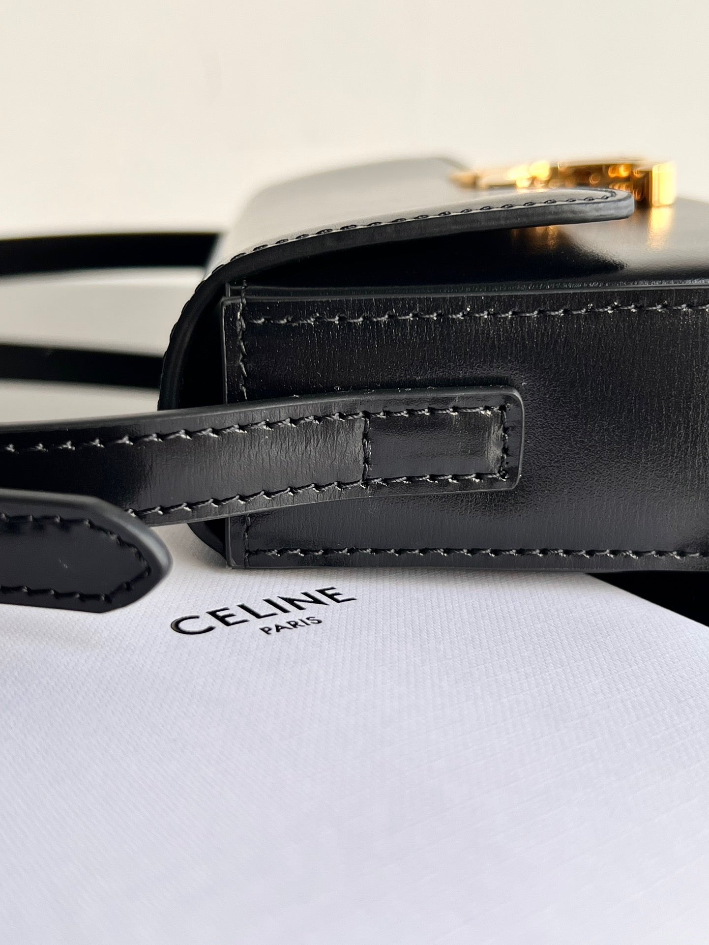 Celine Triomphe Hobo