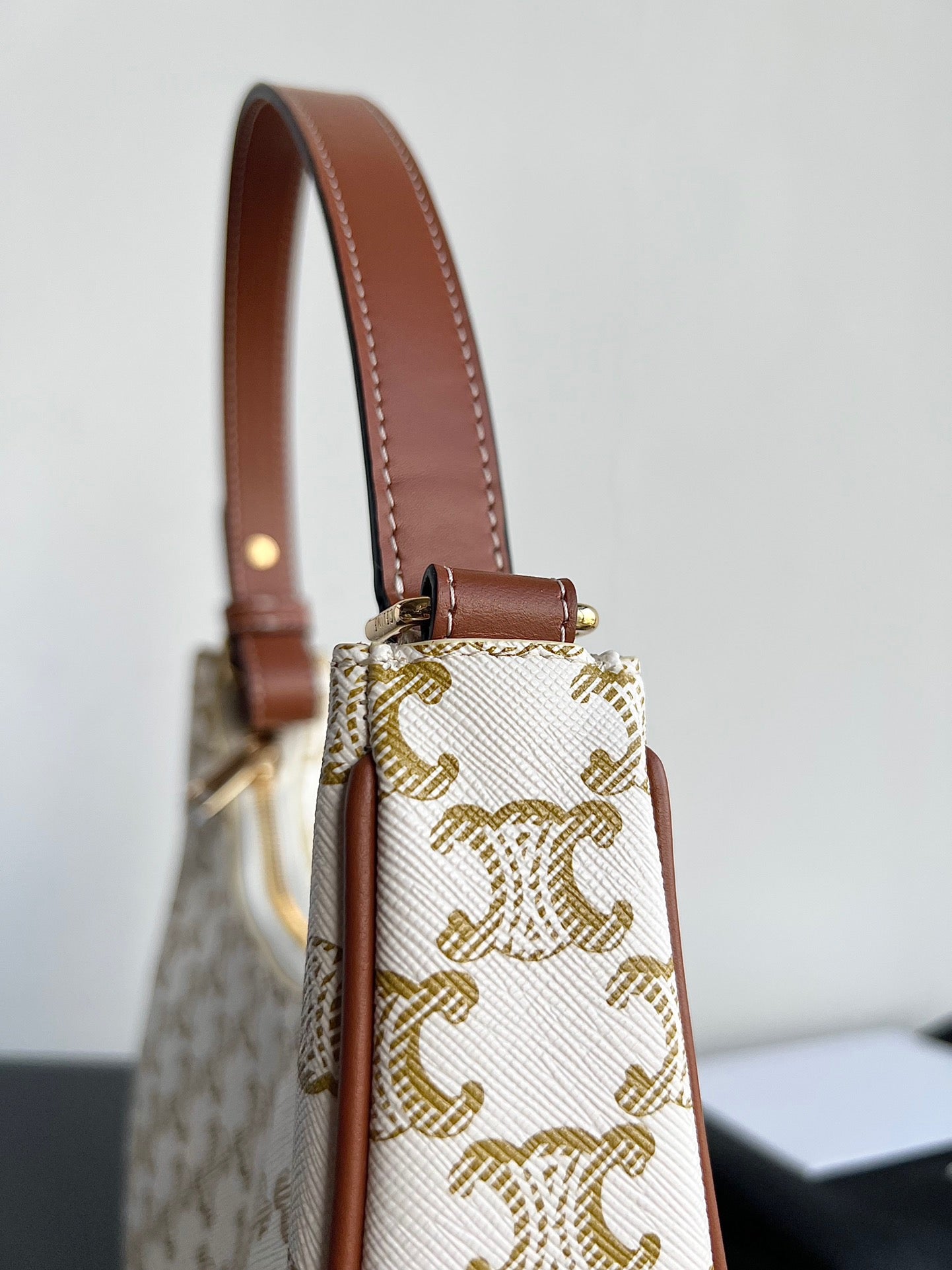 Celine Triomphe Hobo