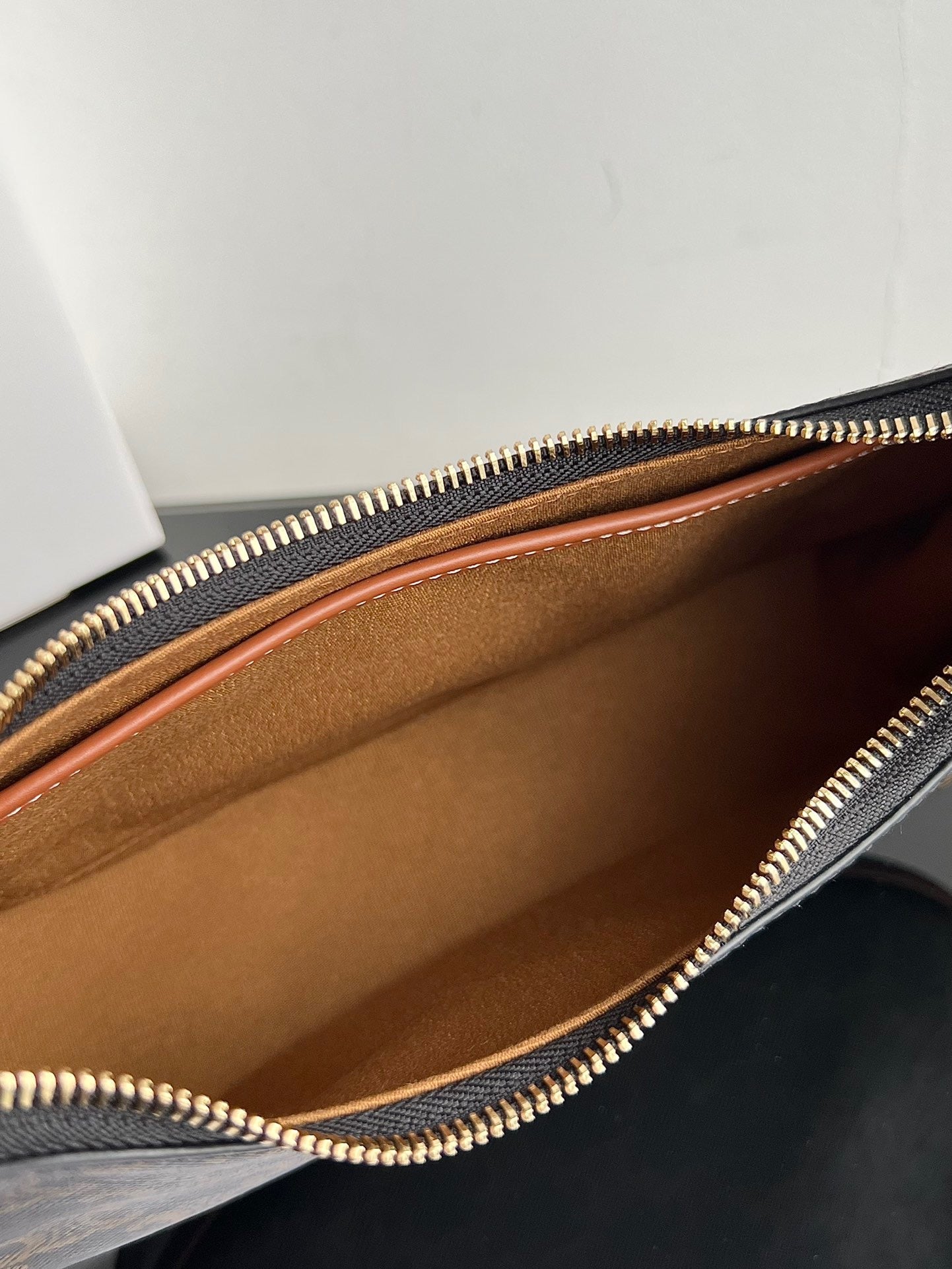 Celine Triomphe Hobo