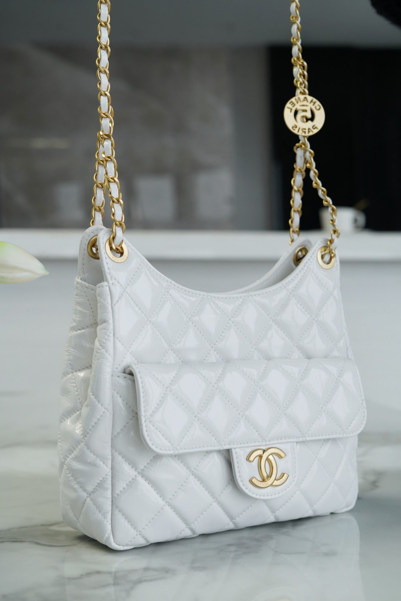 Chanel 23C Hobo Bag
