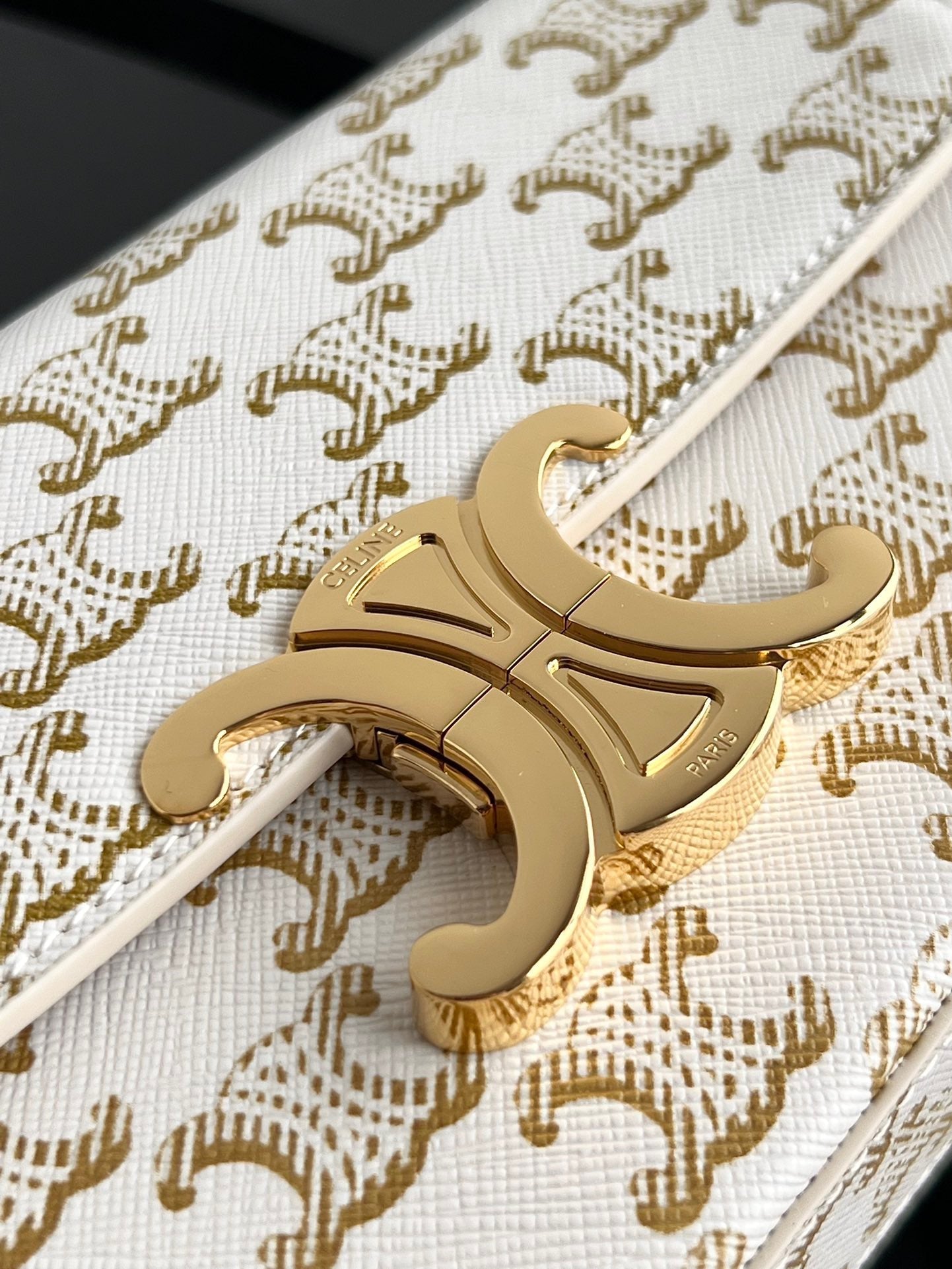 Celine Triomphe Hobo