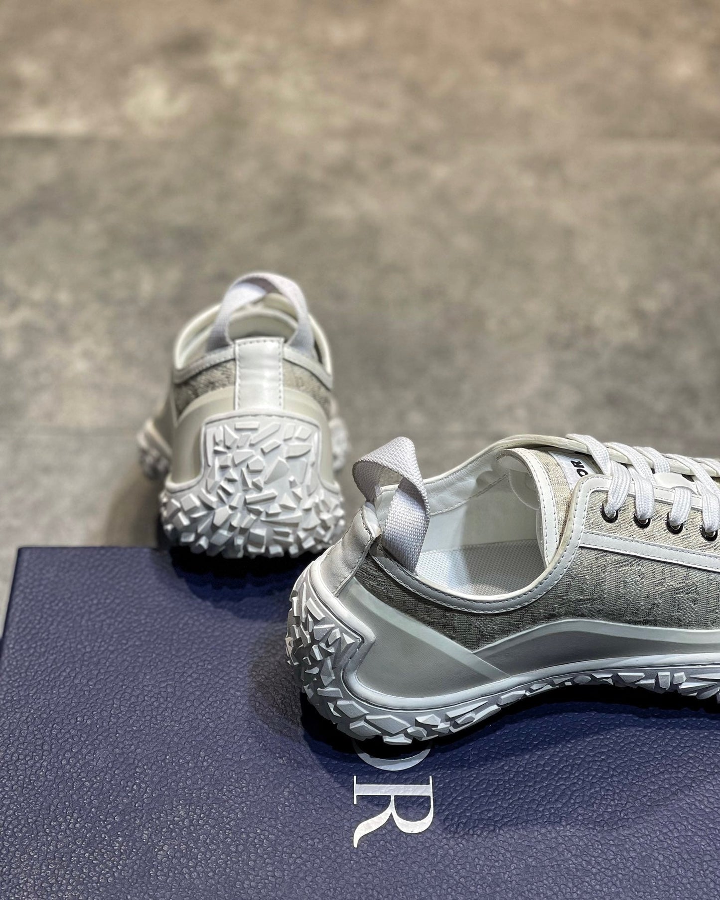 Dior Sneakers