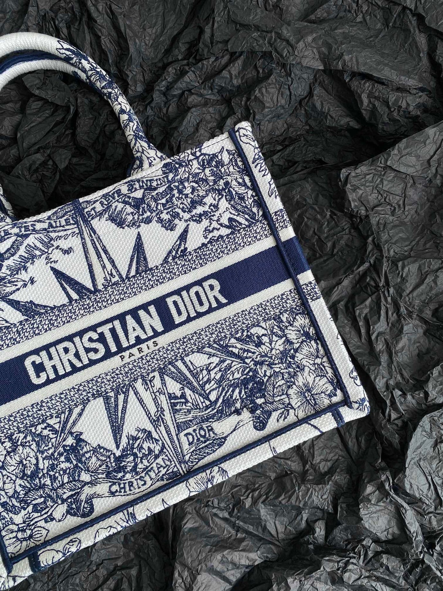 Dior BookTote (Small)