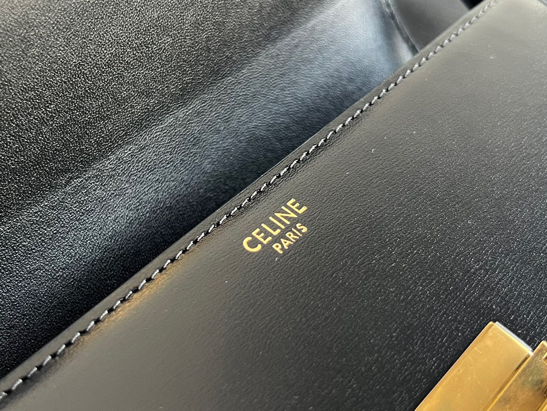 Celine Triomphe Hobo