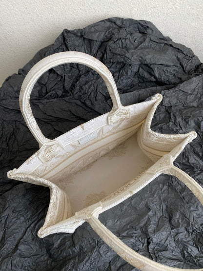 Dior BookTote (small)