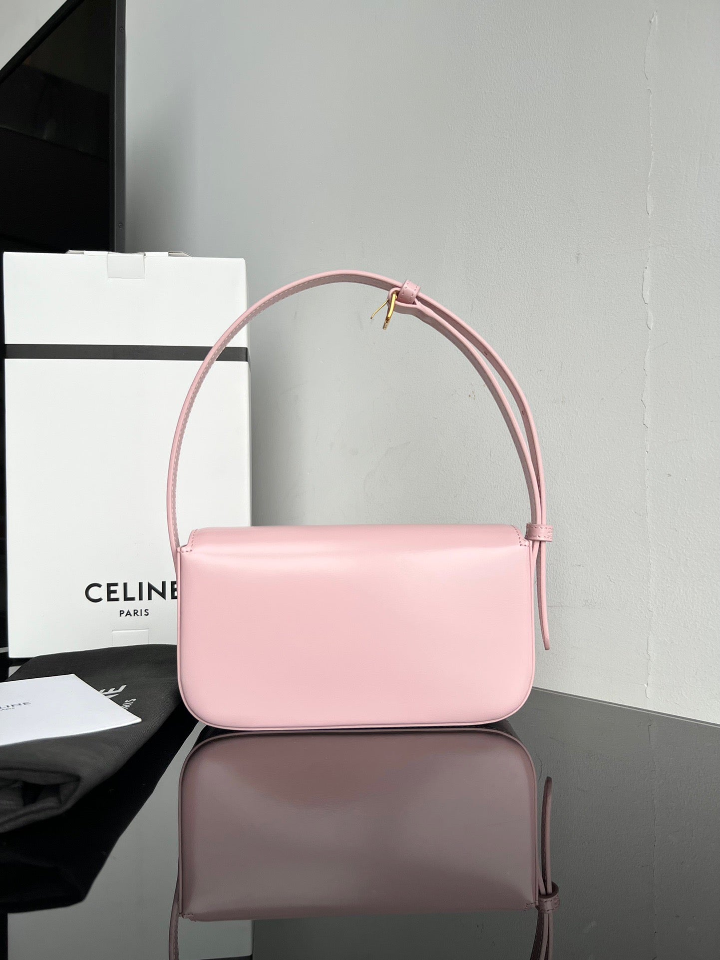 Celine Triomphe Hobo