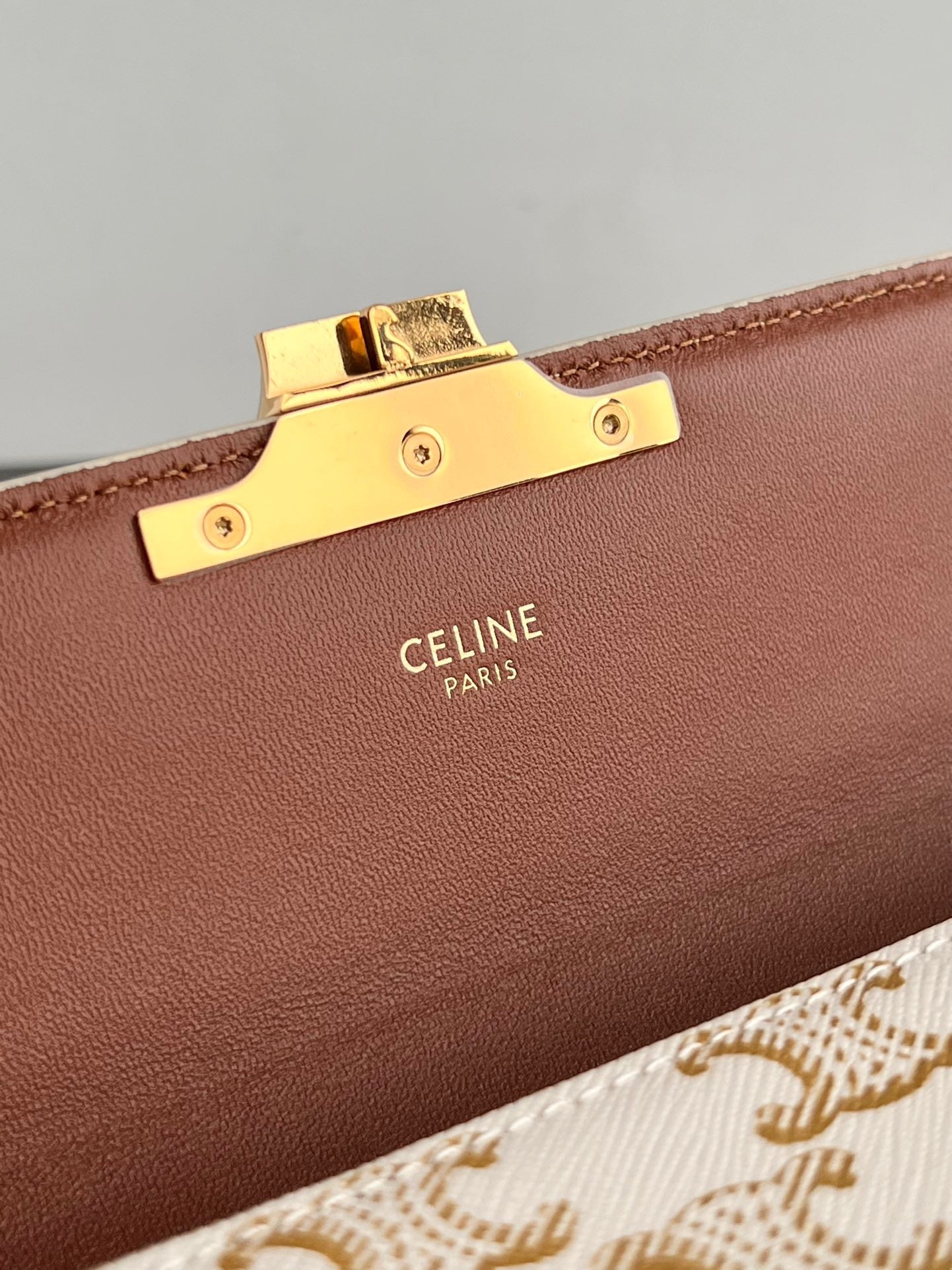 Celine Triomphe Hobo
