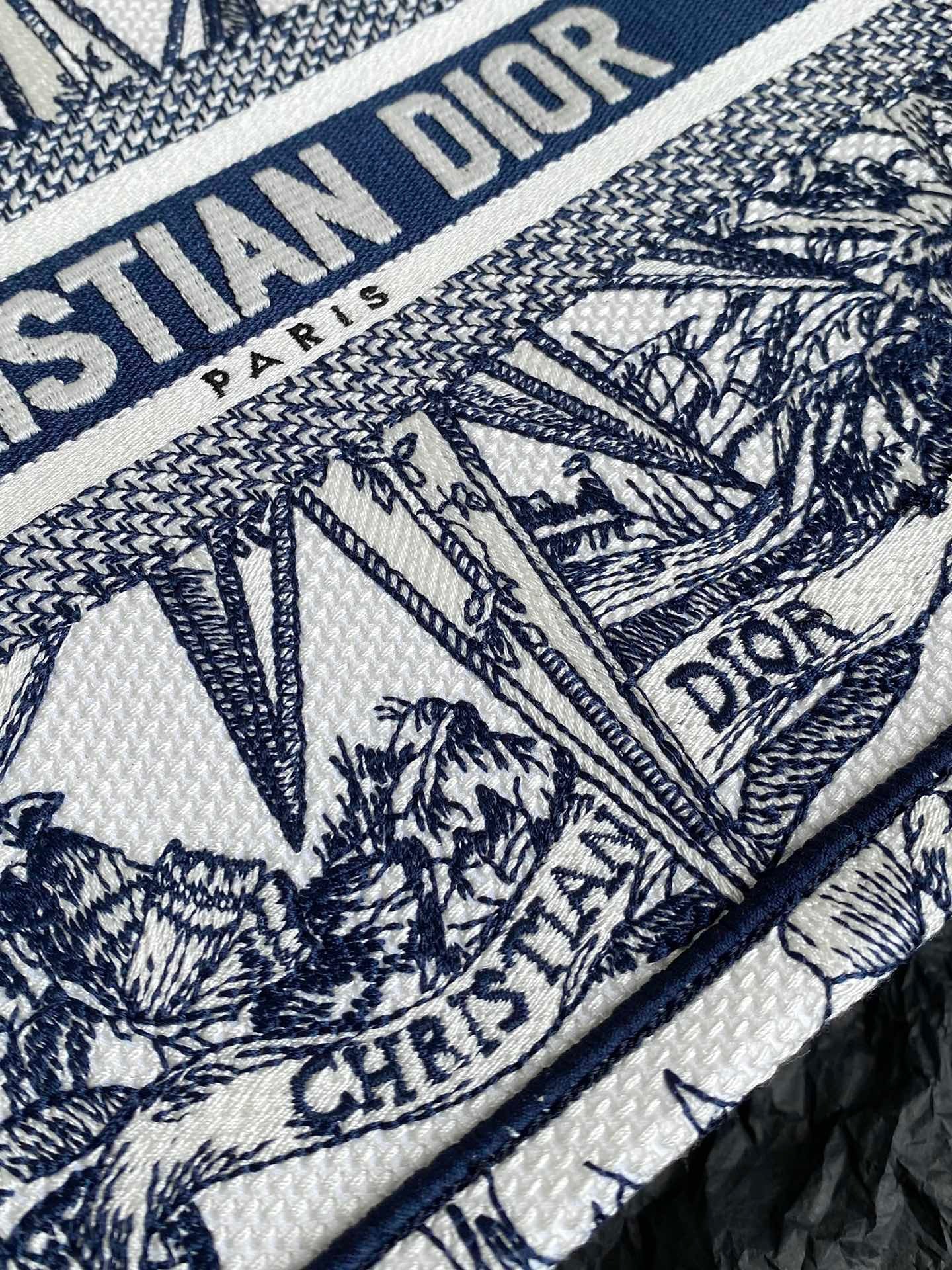 Dior BookTote (Small)