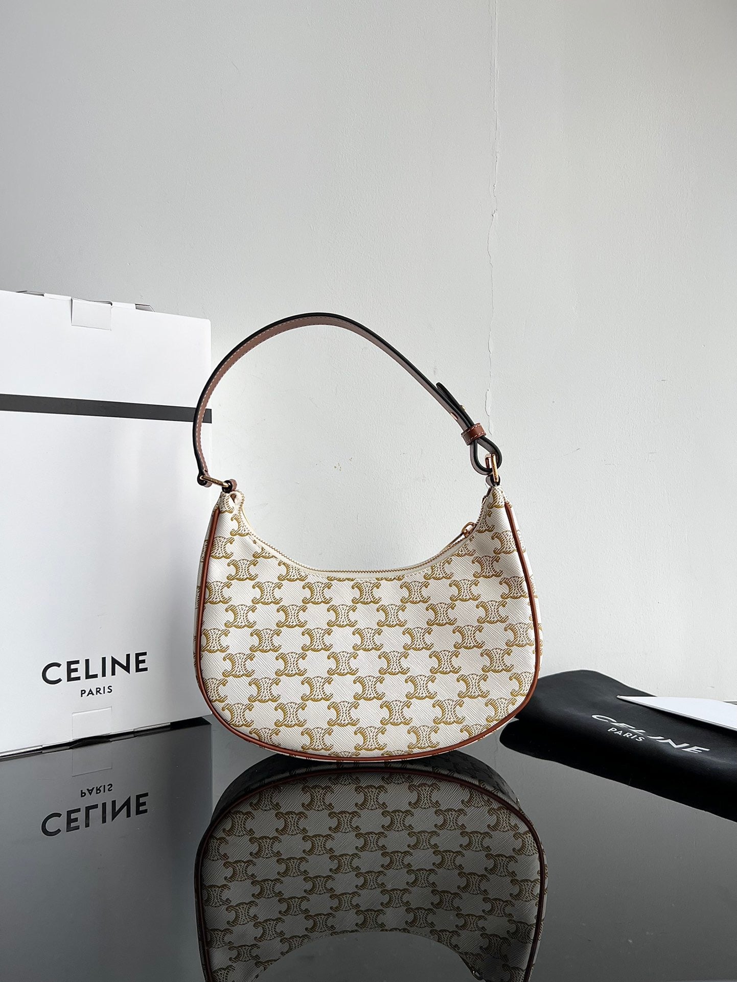 Celine Triomphe Hobo